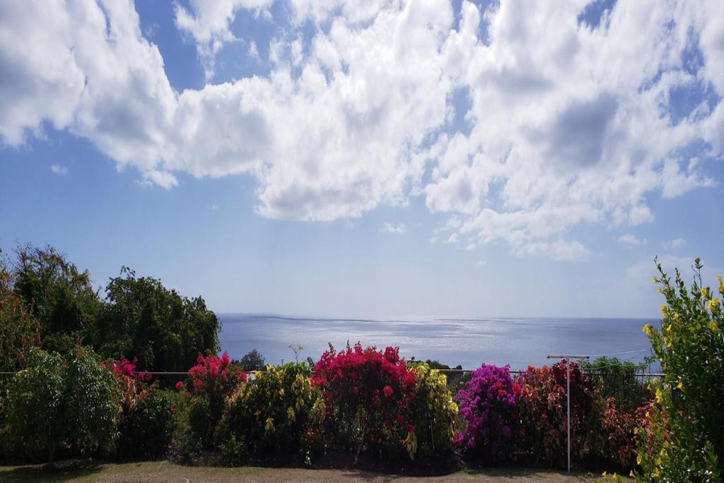 Spectacular Ocean View Retreat Daire Saint James Dış mekan fotoğraf