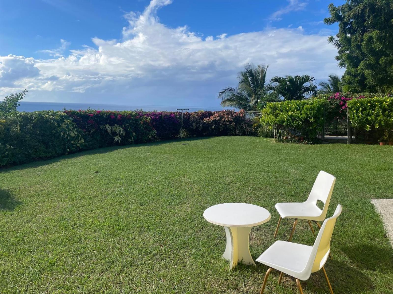 Spectacular Ocean View Retreat Daire Saint James Dış mekan fotoğraf