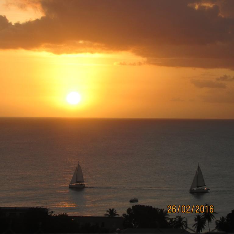Spectacular Ocean View Retreat Daire Saint James Dış mekan fotoğraf