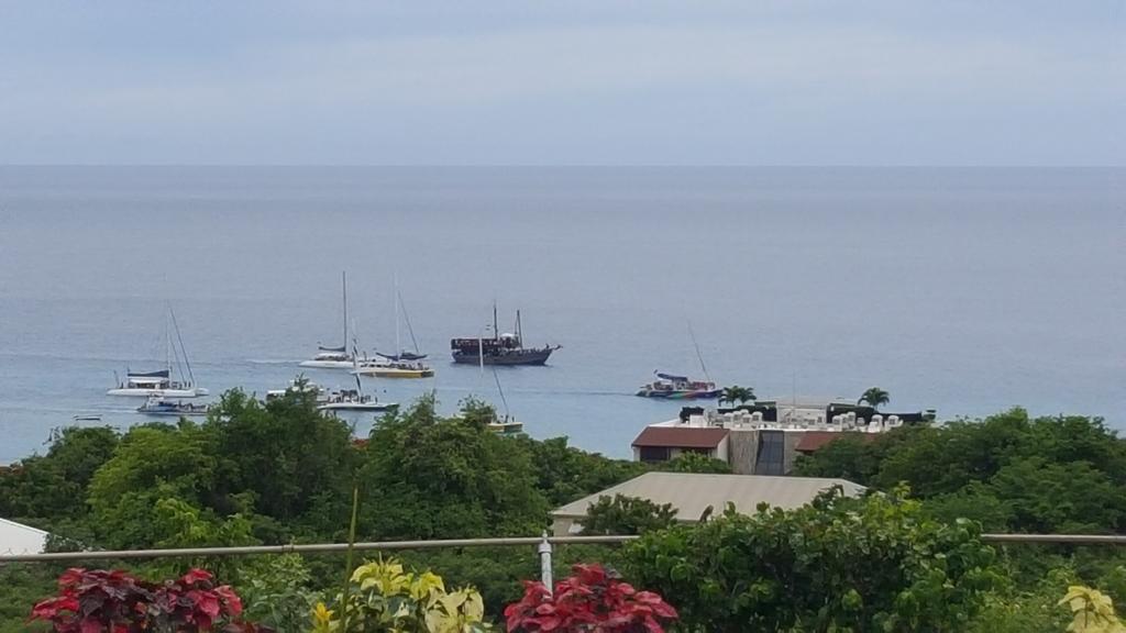 Spectacular Ocean View Retreat Daire Saint James Dış mekan fotoğraf